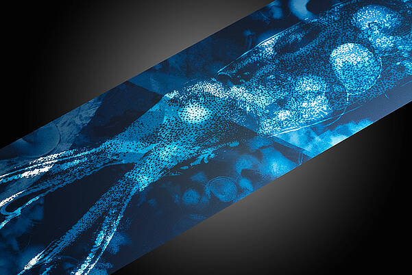 Embrace Spectacular Lighting Designs for Vehicle Components Automotive dashboard with blue light design by LEONHARD KURZ